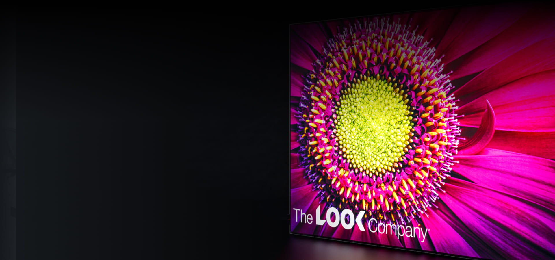 About The Look Company